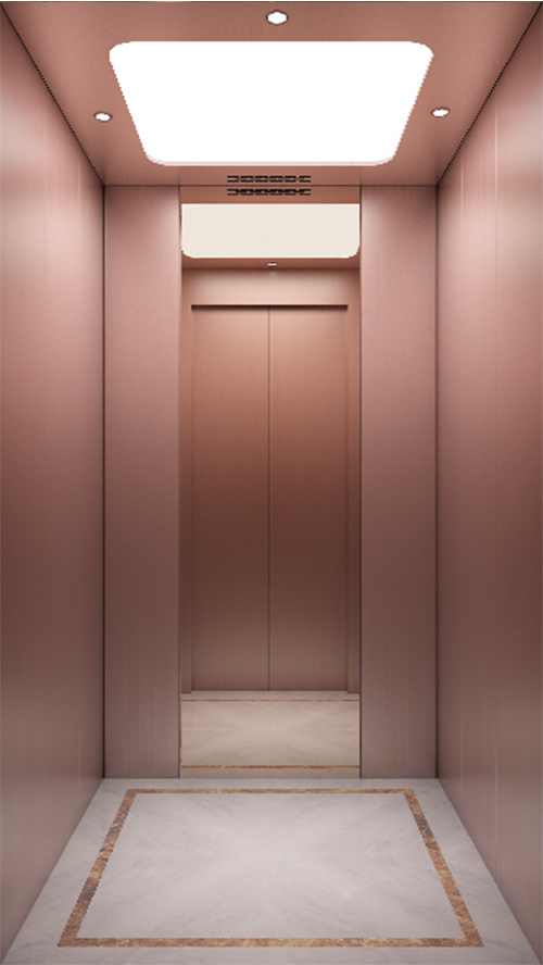 Meies U3000 Concrete Shaft Home Elevator